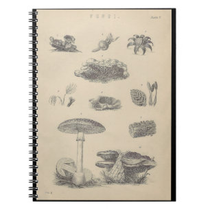 19th Century Fungi Illustration Note Book