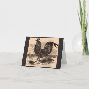 19th century Gallus Sonneratii rooster print Note Card