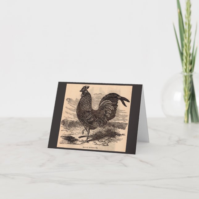 19th century Gallus Sonneratii rooster print Note Card (Front)