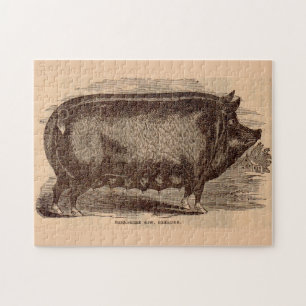 19th century pig print Berkshire sow no. 1 Jigsaw Puzzle