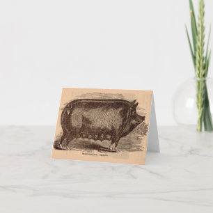 19th century pig print Berkshire sow no. 1 Note Card