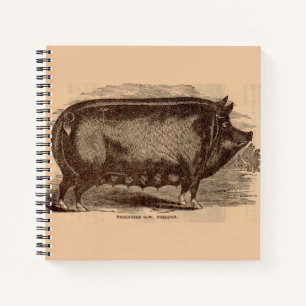19th century pig print Berkshire sow no. 1 Notebook