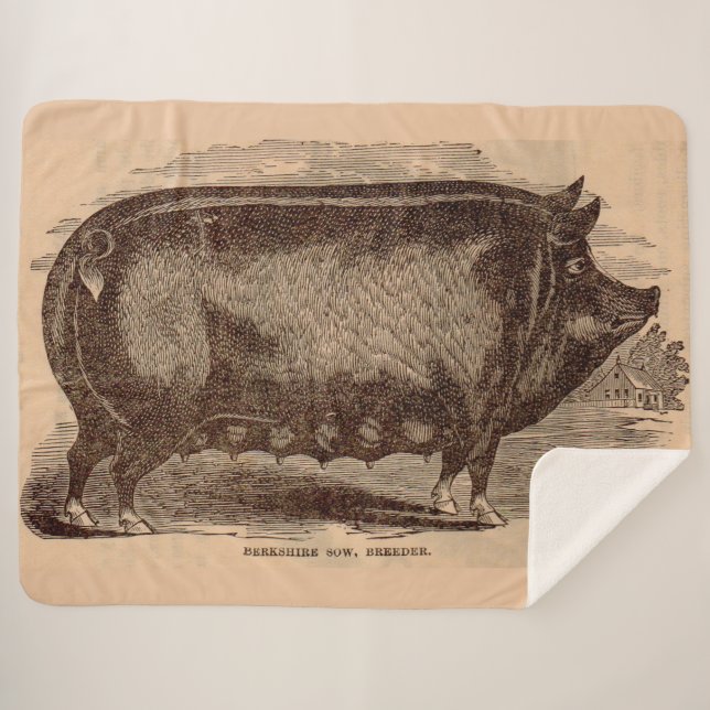 19th century pig print Berkshire sow no. 1 Sherpa Blanket (Front (Horizontal))