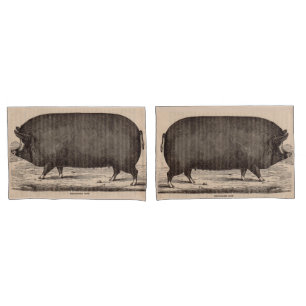 19th century pig print Berkshire sow no. 2 Pillowcase