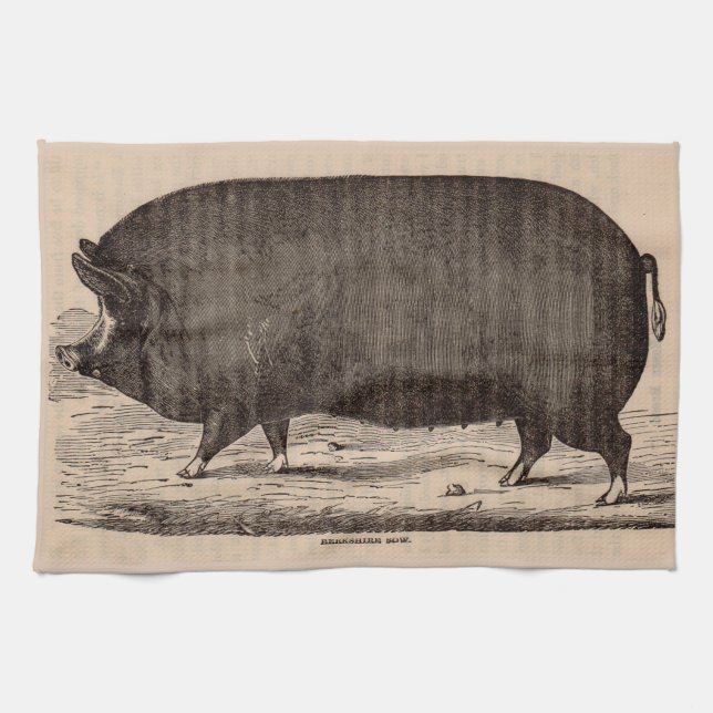 19th century pig print Berkshire sow no. 2 Tea Towel (Horizontal)