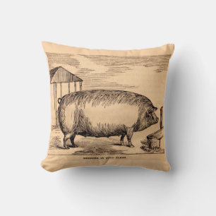 19th century pig print ‘Breeder in Good Flesh’ Cushion