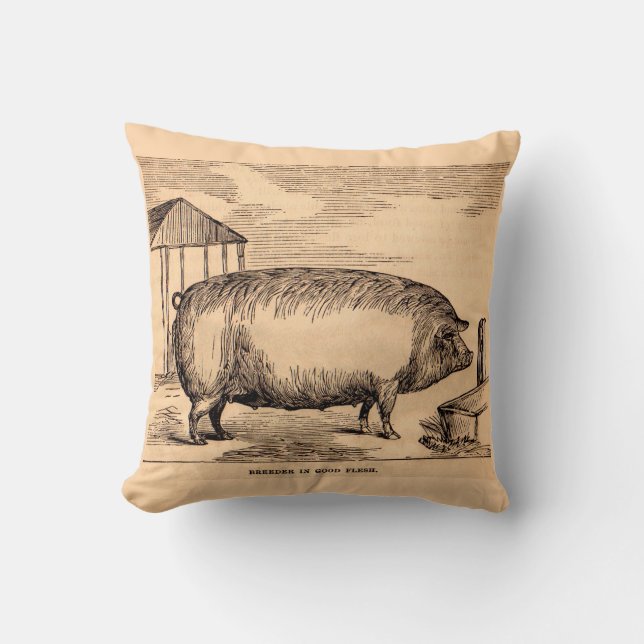 19th century pig print ‘Breeder in Good Flesh’ Cushion (Front)