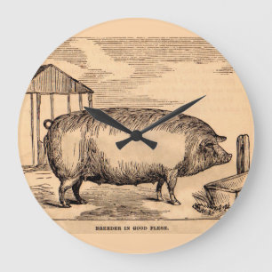 19th century pig print ‘Breeder in Good Flesh’ Large Clock