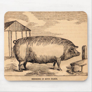 19th century pig print ‘Breeder in Good Flesh’ Mouse Pad