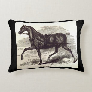 19th century print An English Roadster horse Decorative Cushion