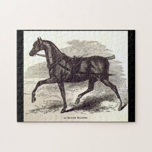 19th century print An English Roadster horse Jigsaw Puzzle
