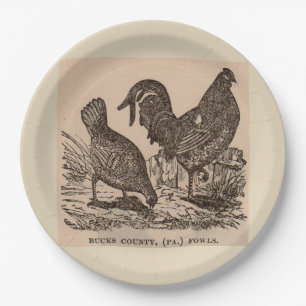 19th century print Bucks County fowls chickens Paper Plate