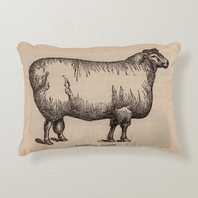 19th century print Cotswold sheep Decorative Cushion (Front)
