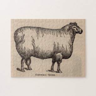 19th century print Cotswold sheep Jigsaw Puzzle