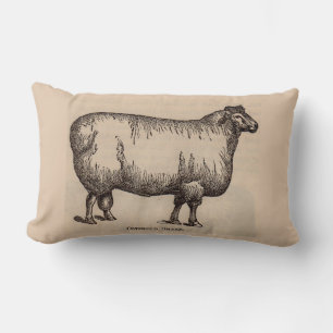 19th century print Cotswold sheep Lumbar Cushion