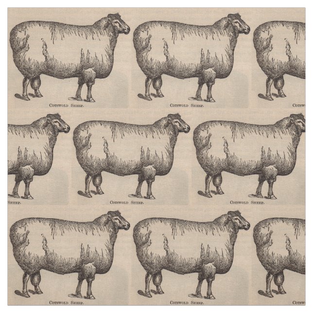 19th century print Cotswold sheep print Fabric (Swatch)