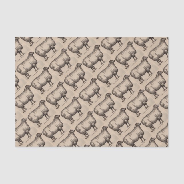 19th century print Cotswold sheep Tissue Paper (Front)