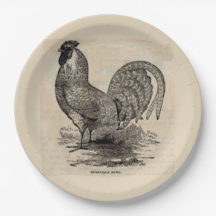 19th century print dominique fowl paper plate