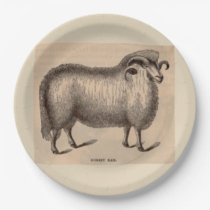 19th century print Dorset ram print Paper Plate