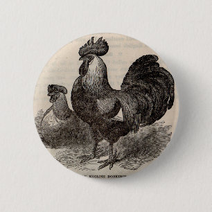 19th century print grey English dorkings chickens 6 Cm Round Badge