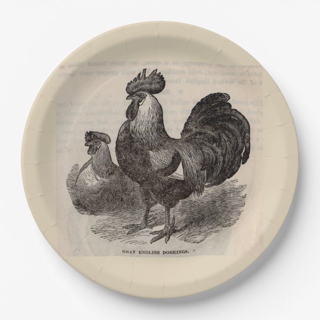 19th century print grey English dorkings chickens Paper Plate (Front)