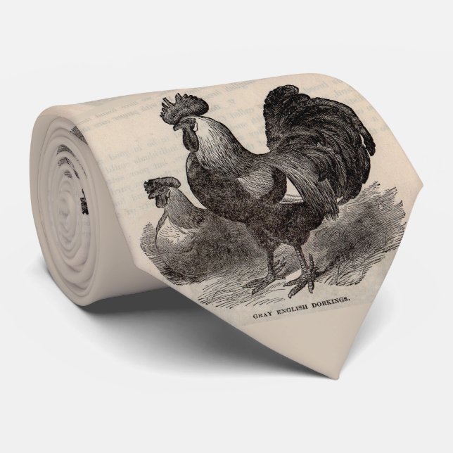 19th century print grey English dorkings chickens  Tie (Rolled)