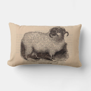 19th century print Highland sheep Lumbar Cushion