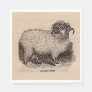 19th century print Highland sheep Napkin