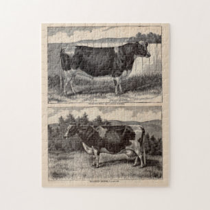 19th century print Holstein bull and cow Jigsaw Puzzle