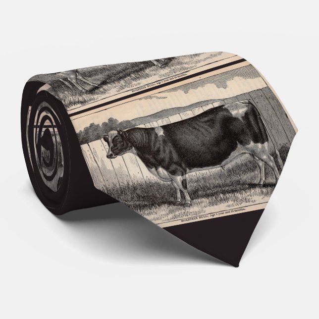 19th century print Holstein bull Tie (Rolled)