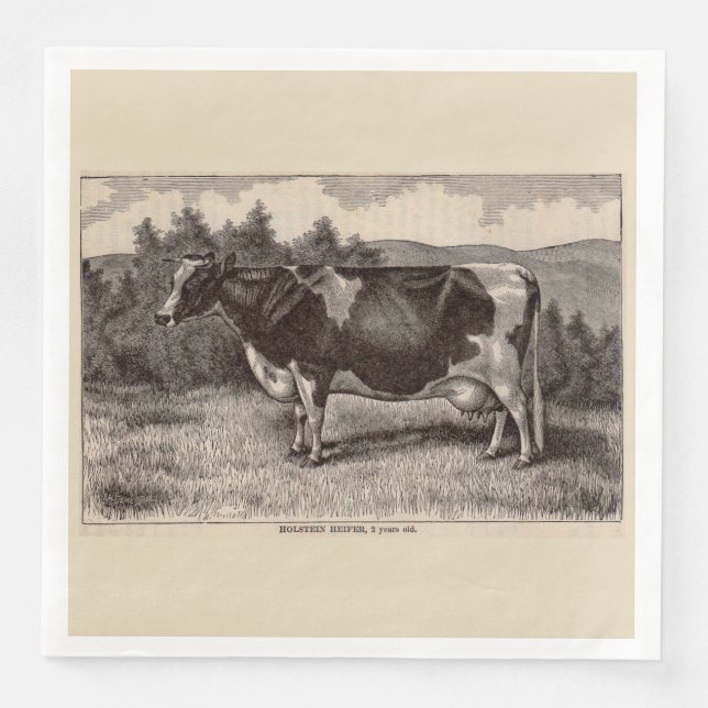 19th century print Holstein heifer Napkin (Front)