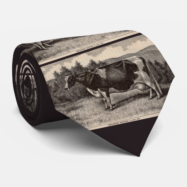 19th century print Holstein heifer  Tie (Rolled)