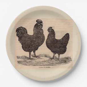 19th century print Plymouth Rock hen and rooster Paper Plate