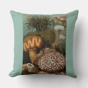 19th century print sea anemones cushion