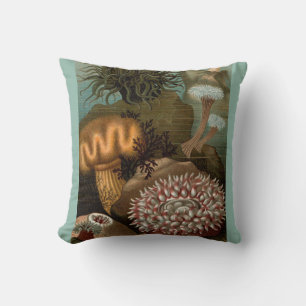 19th century print sea anemones cushion