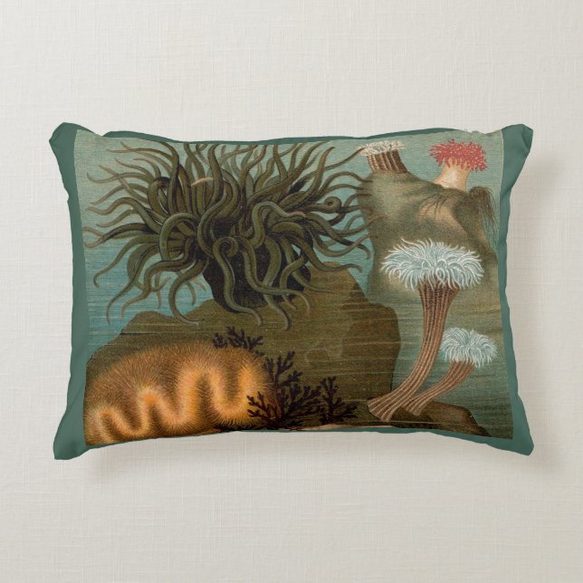 19th century print sea anemones decorative cushion (Front)