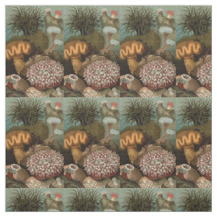 19th century print sea anemones fabric