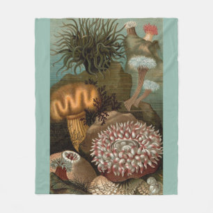 19th century print sea anemones fleece blanket