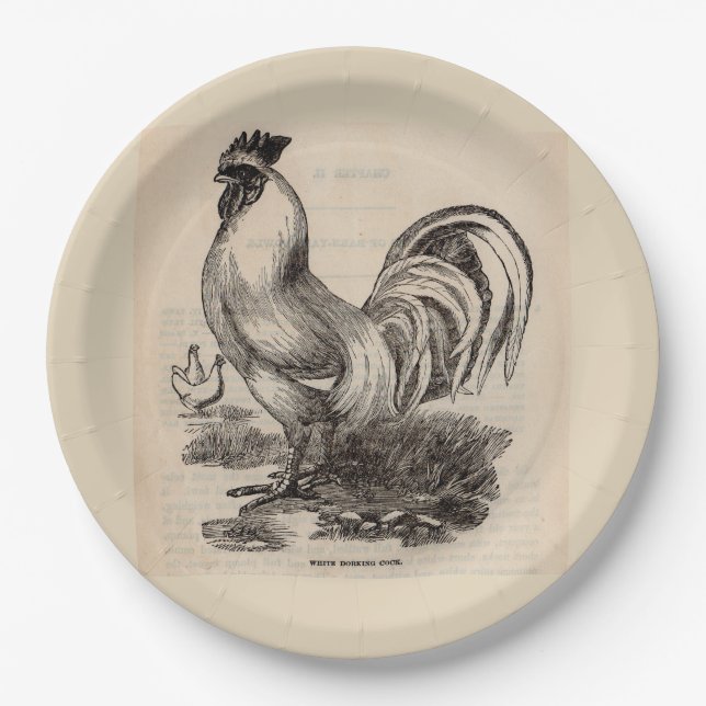 19th century print white Dorking rooster Paper Plate (Front)