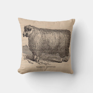 19th century print yearling Cotswold sheep Cushion