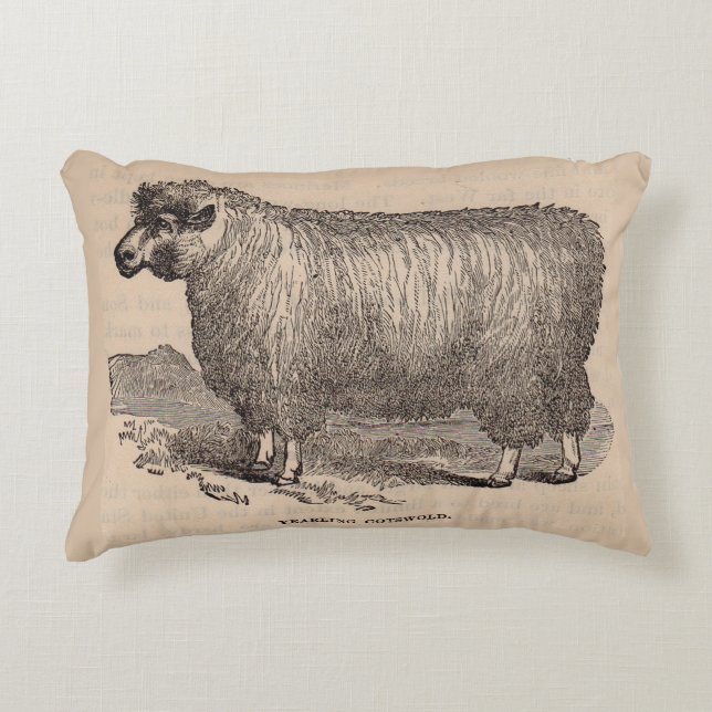19th century print yearling Cotswold sheep Decorative Cushion (Front)