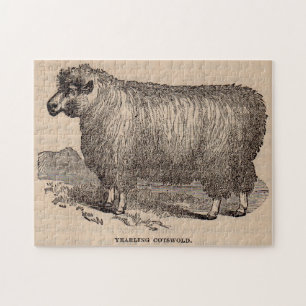 19th century print yearling Cotswold sheep Jigsaw Puzzle