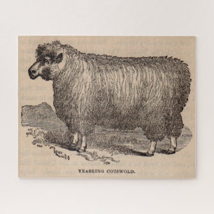 19th century print yearling Cotswold sheep Jigsaw Puzzle