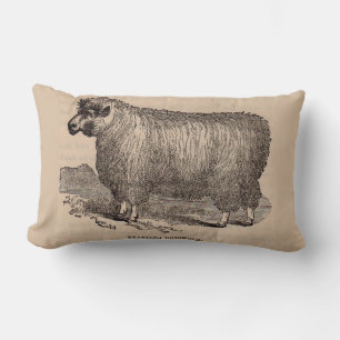 19th century print yearling Cotswold sheep Lumbar Cushion