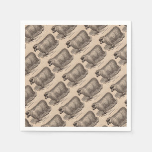 19th century print yearling Cotswold sheep Napkin