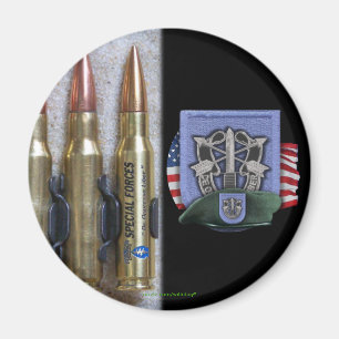 19th special forces group  flash crest iraq vets m magnet