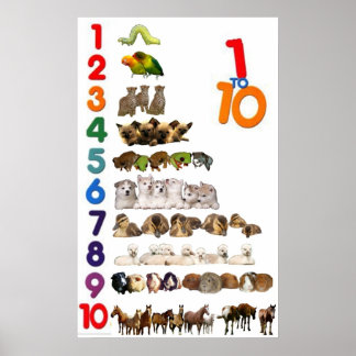 1 - 10 Numbers Poster