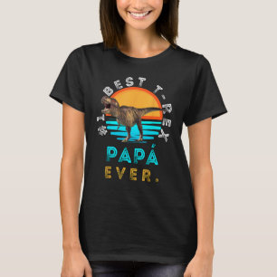 1 Best Rex Papá Ever Sunset Dinosaur Family Matchi T-Shirt