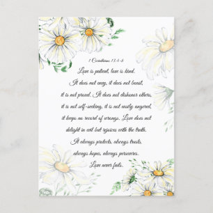1 Corinthians 13:4-8 Love is Patient White Daisies Postcard