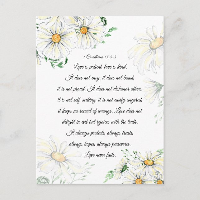 1 Corinthians 13:4-8 Love is Patient White Daisies Postcard (Front)